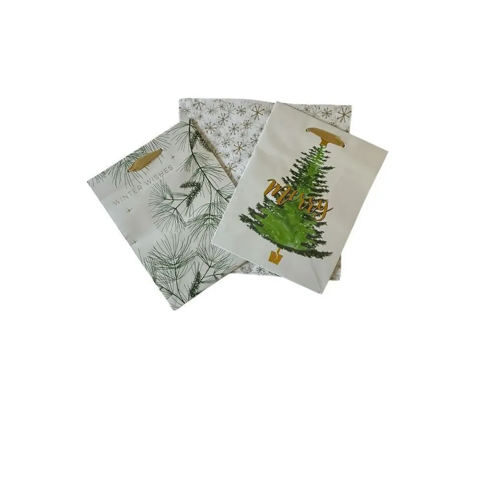 B1. Full Gift Bag Set (4)